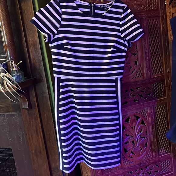 Express Shift Dress Navy & White Stripes 0 - Picture 3 of 4